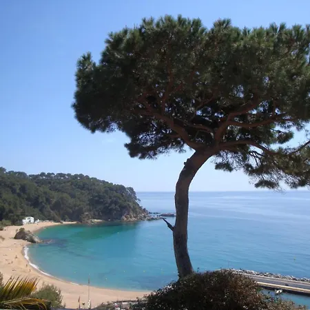 Villa Bellavista Lloret de Mar
