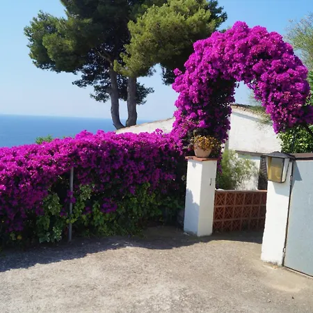 Bellavista * Lloret de Mar