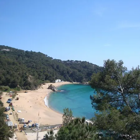 Bellavista *